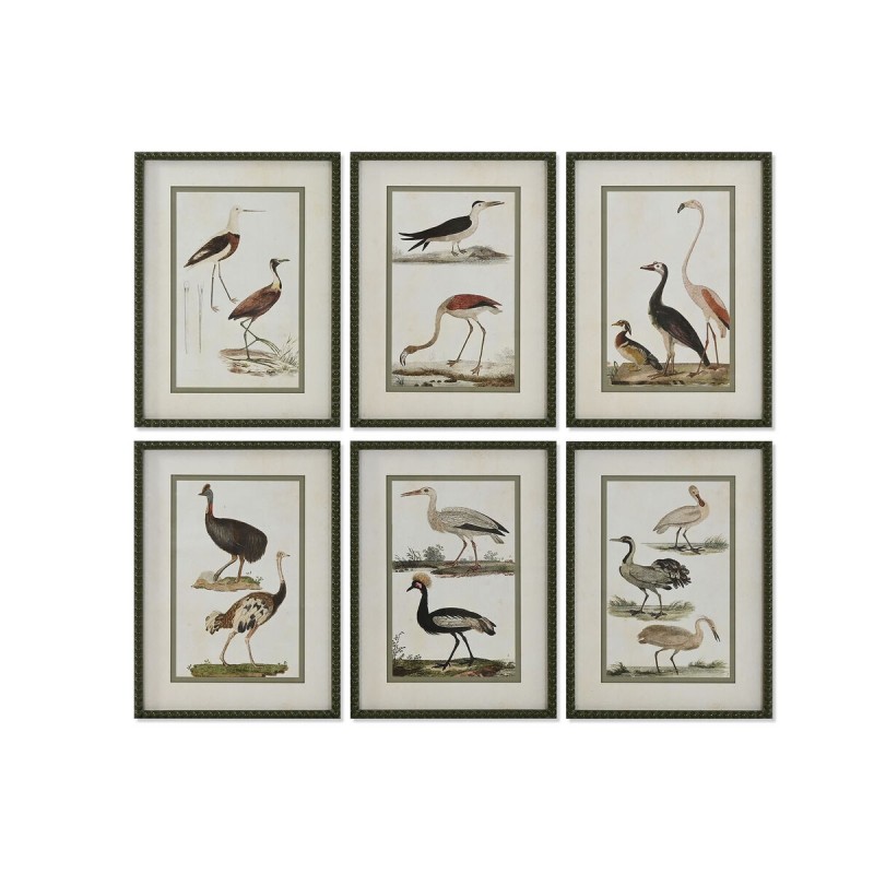 Cadre Home ESPRIT Oiseaux Cottage 40 x 2