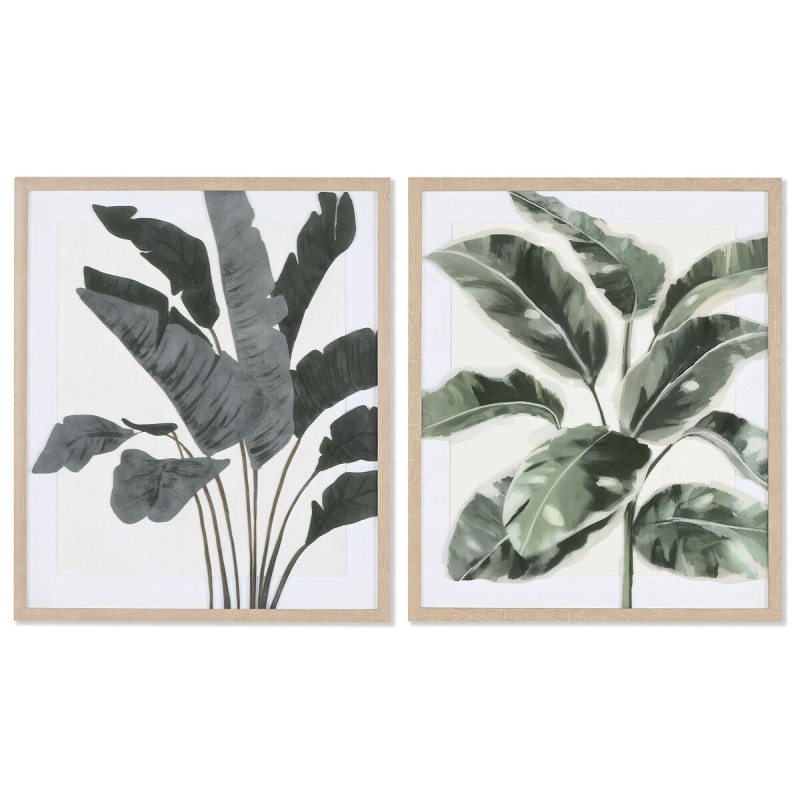 Cadre Home ESPRIT Feuille d'une plante Scandinave 52