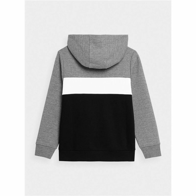 Sweat-shirt Enfant 4F JBLM003  Gris