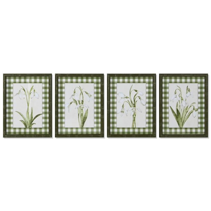 Cadre Home ESPRIT Vert Beige Shabby Chic Plantes botaniques 30 x 2