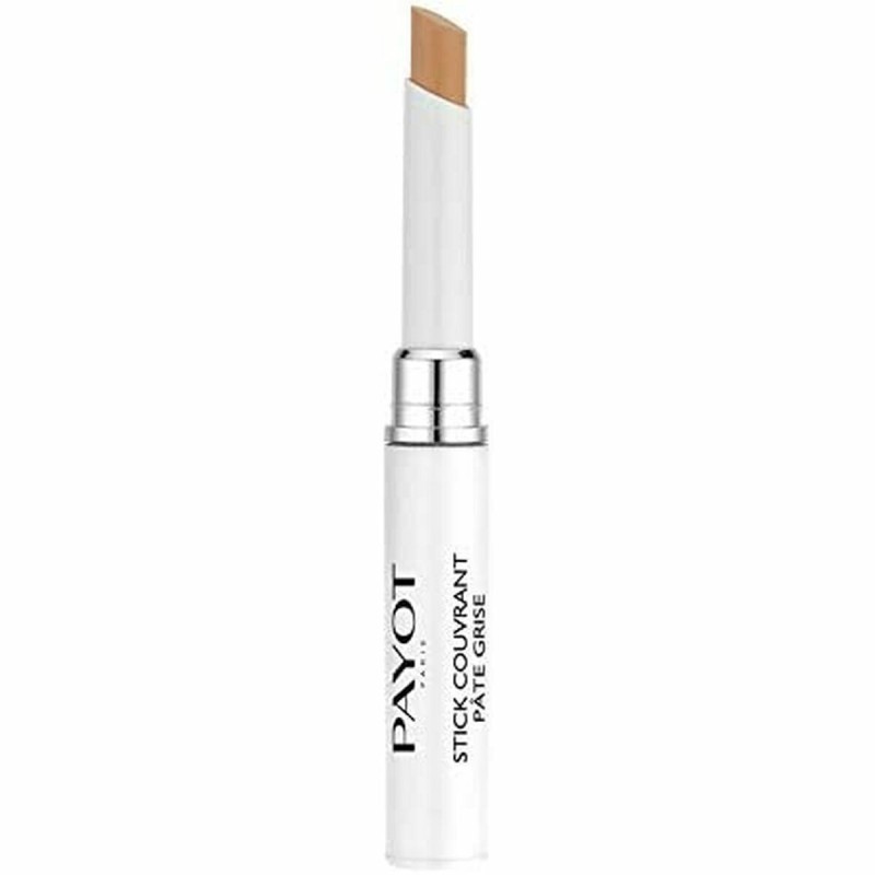 Crayon Correcteur Payot Pâte Grise 6 ml 2 en 1 Purificatrice