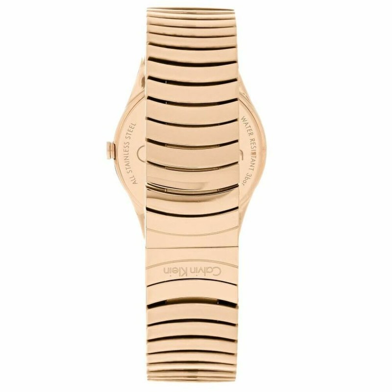 Montre Femme Calvin Klein WHIRL (Ø 33 mm)