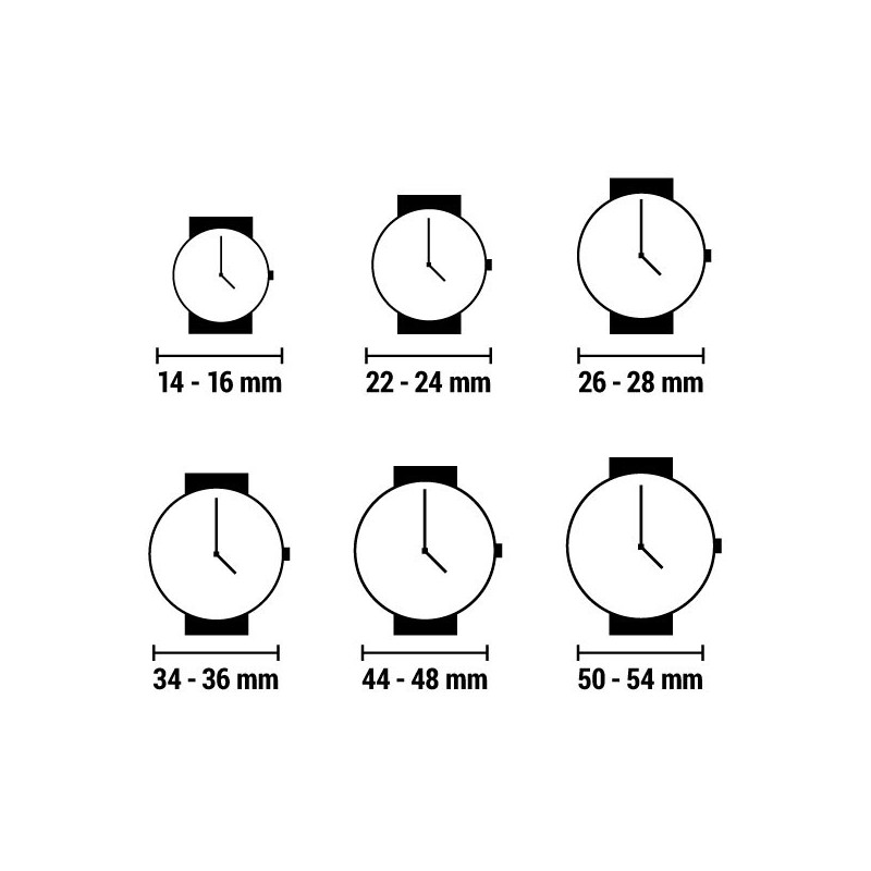 Montre Homme Festina F20019/1 Argenté