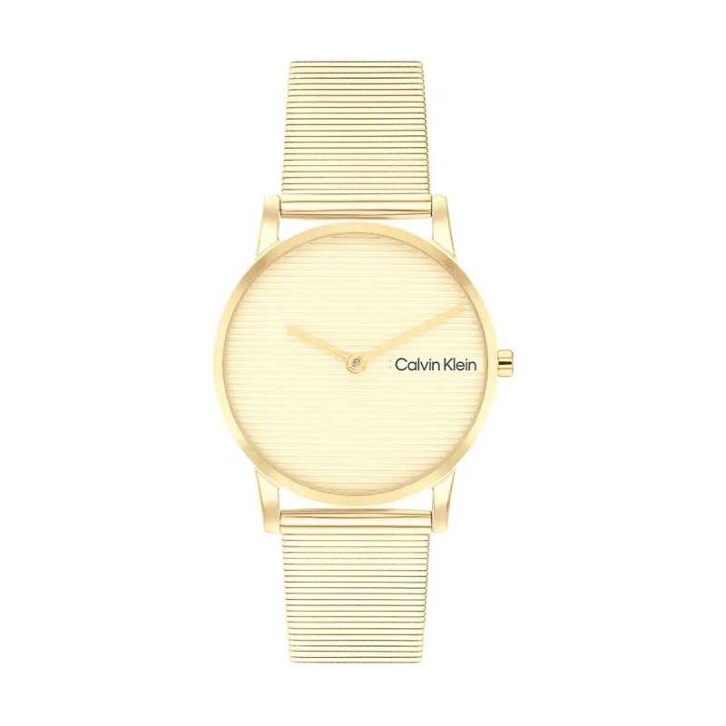 Montre Homme Calvin Klein 25100035