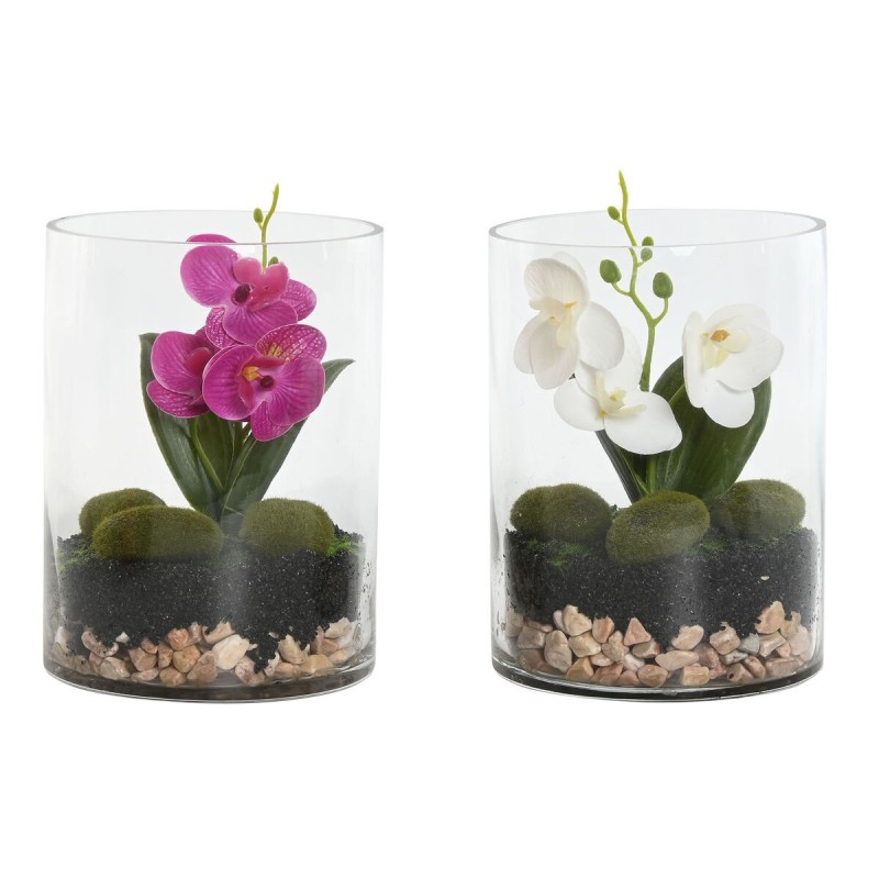 Plante décorative Home ESPRIT PVC Verre 15 x 15 x 20 cm (2 Unités)