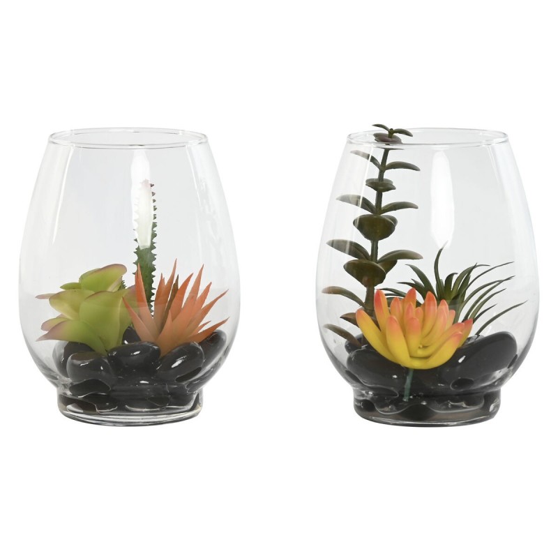 Plante décorative Home ESPRIT PVC Verre 10 x 10 x 15 cm (2 Unités)