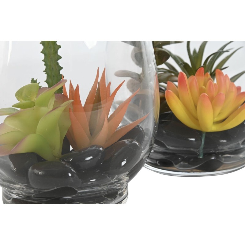 Plante décorative Home ESPRIT PVC Verre 10 x 10 x 15 cm (2 Unités)