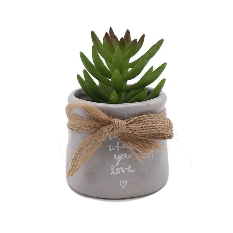 Plante décorative Versa Céramique Plastique 5