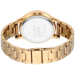 Montre Femme Esprit ES1L140M0115