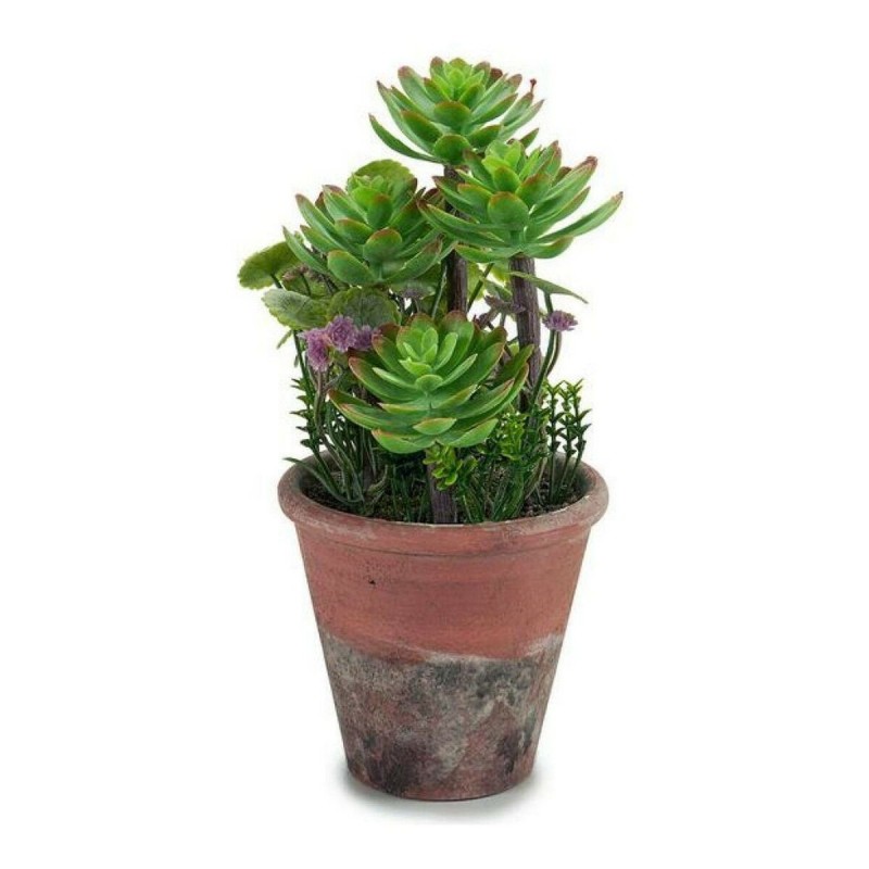 Plante décorative Ibergarden XD16-849 Plastique