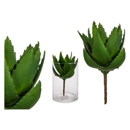 Plante décorative Ibergarden YD181153 Plastique