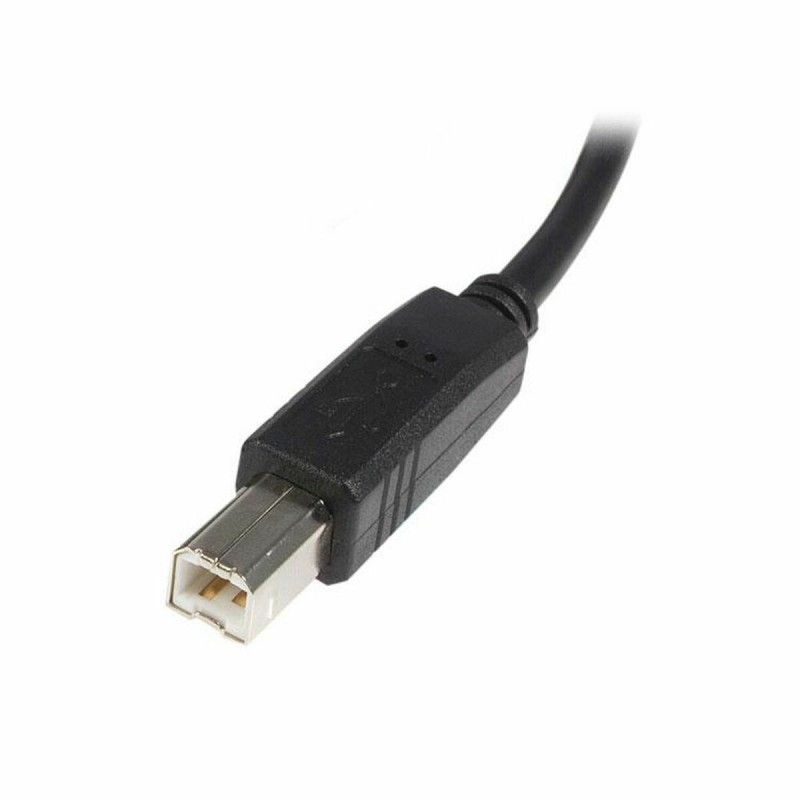 Câble USB A vers USB B Startech USB2HAB1M Noir 1 m