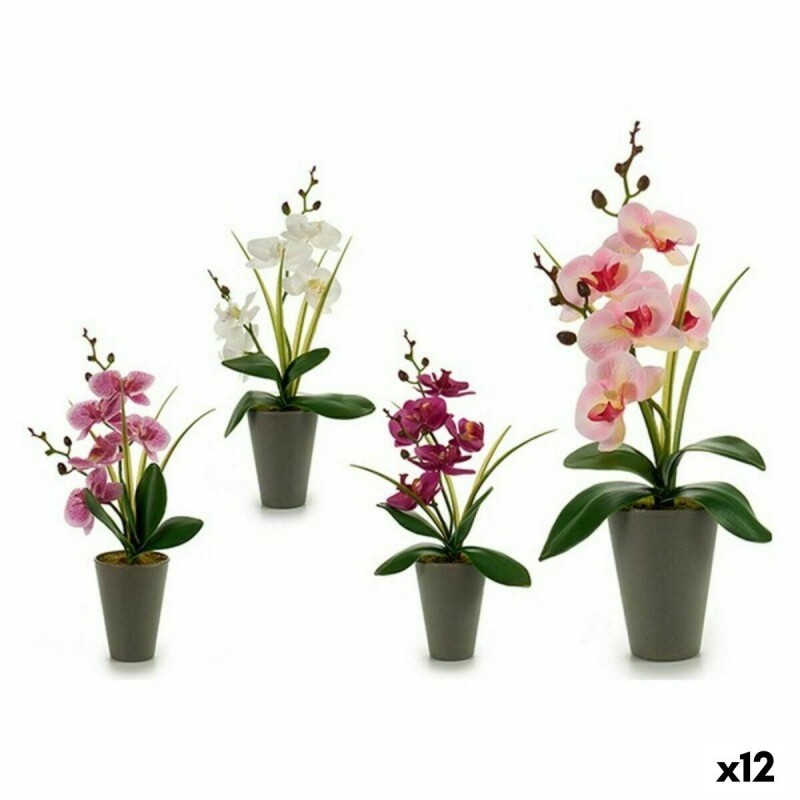 Plante décorative Ibergarden A18124-33 Plastique Orchidée 8 x 35 x 14 cm (12 Unités)