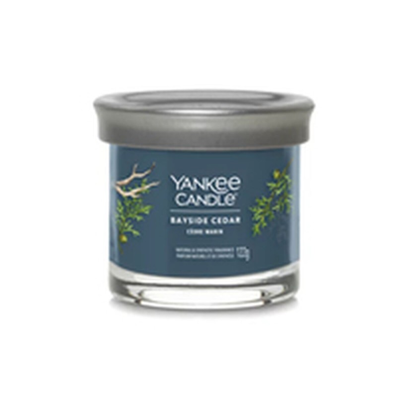 Bougie Parfumée Yankee Candle Bayside Cedar 122 ml