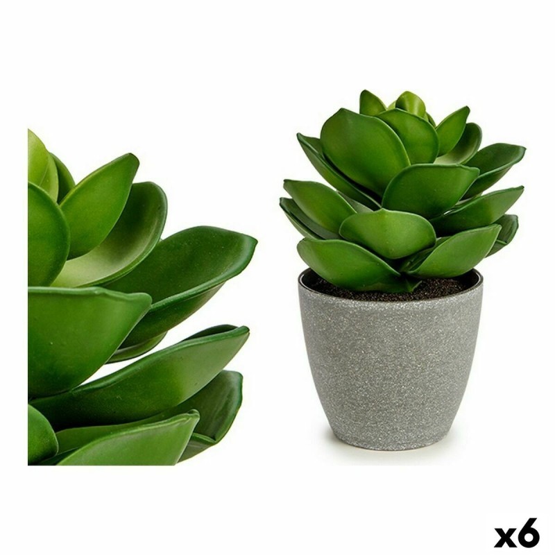 Plante décorative Ibergarden YC1814571 Plastique 16 x 21 x 16 cm Gris Vert (6 Unités)