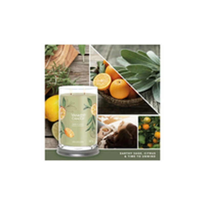 Bougie Parfumée Yankee Candle Sage & Citrus 567 g