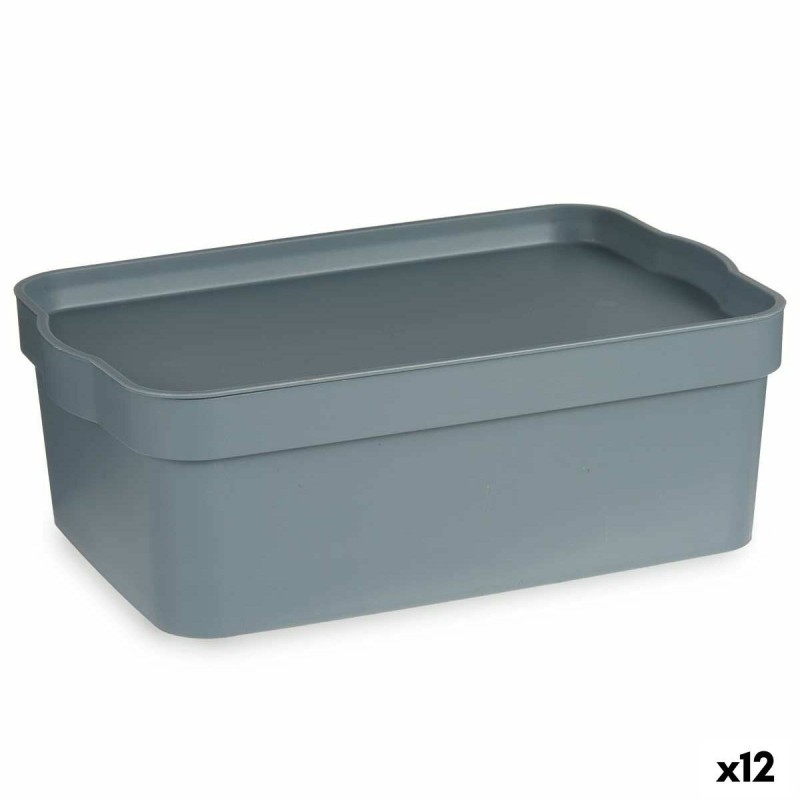 Boîte de rangement avec couvercle Kipit TP593-2 Gris Plastique 6 L 21