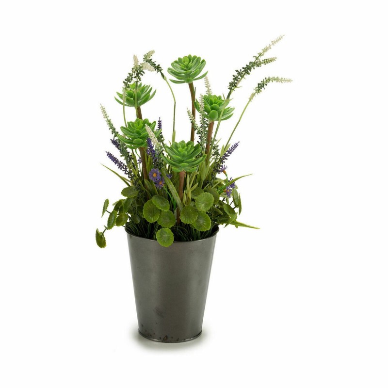 Plante décorative Ibergarden XD16-819 Liège Plastique Fleurs Campagne 20 x 41 x 20 cm (6 Unités)