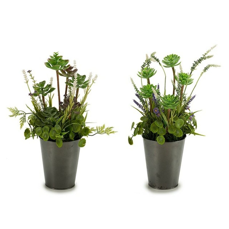 Plante décorative Ibergarden XD16-819 Liège Plastique Fleurs Campagne 20 x 41 x 20 cm (6 Unités)