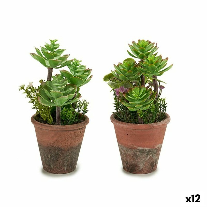 Plante décorative Ibergarden XD16-849 Plastique Succulent 16 x 23 x 16 cm (12 Unités)