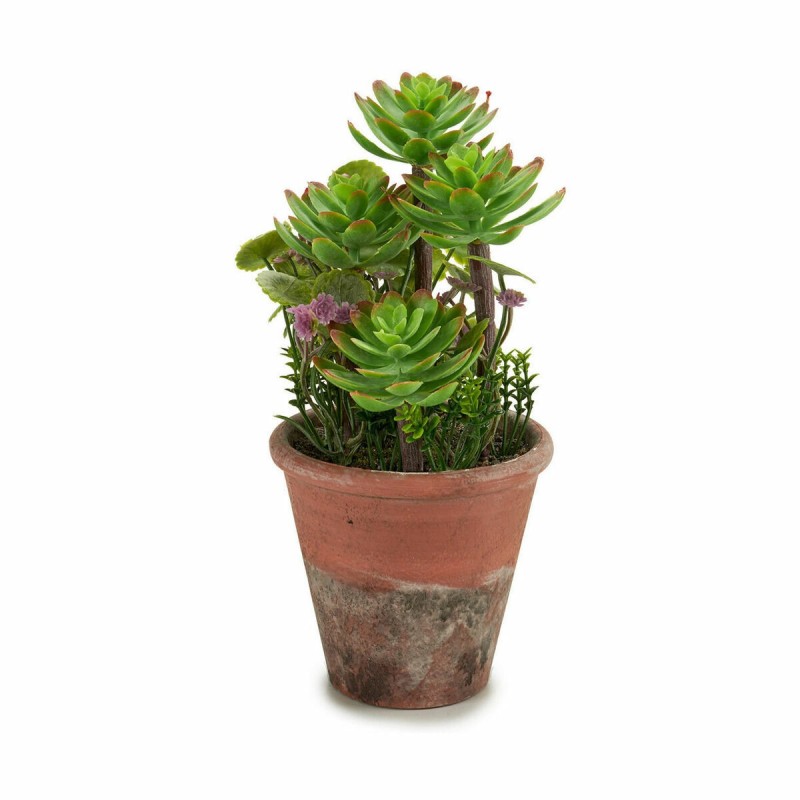 Plante décorative Ibergarden XD16-849 Plastique Succulent 16 x 23 x 16 cm (12 Unités)