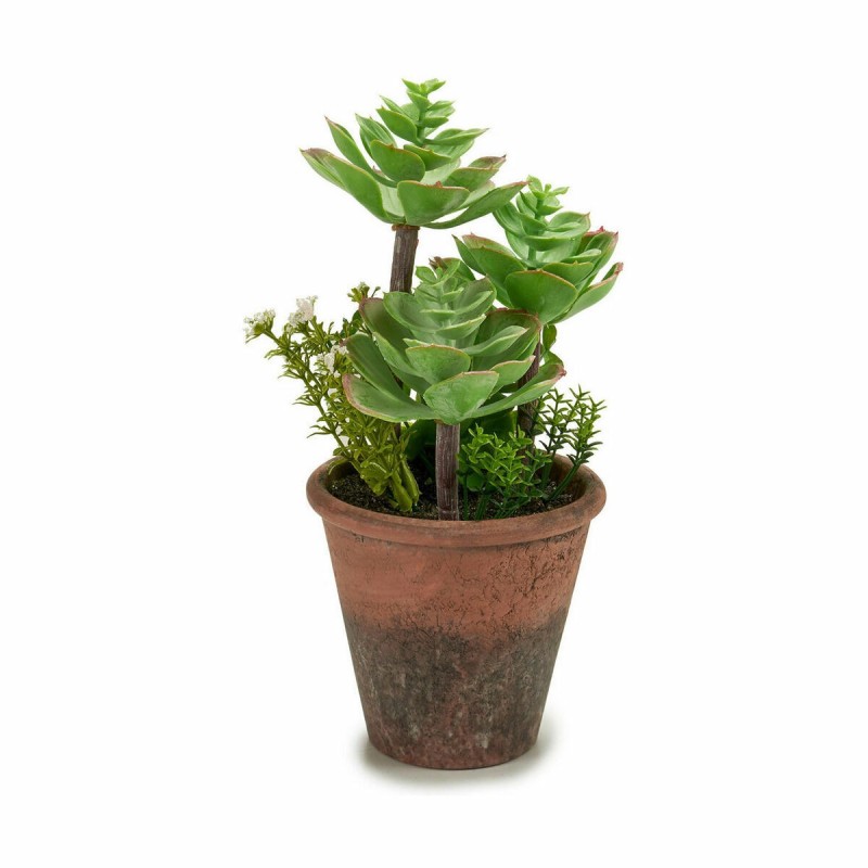 Plante décorative Ibergarden XD16-849 Plastique Succulent 16 x 23 x 16 cm (12 Unités)