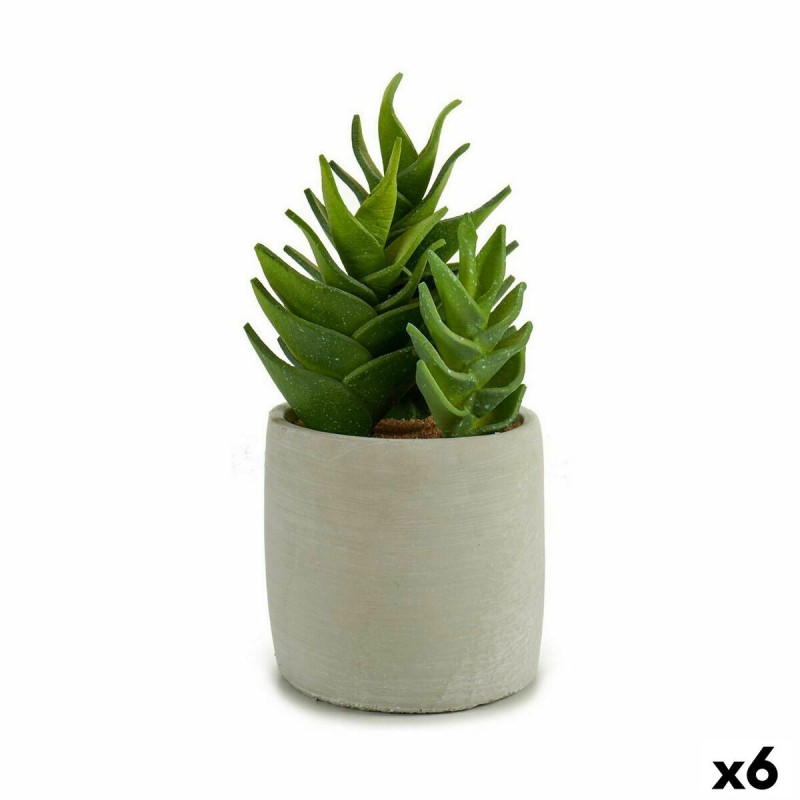 Plante décorative Ibergarden YCX17941 Plastique Succulent 12 x 24 x 12 cm (6 Unités)