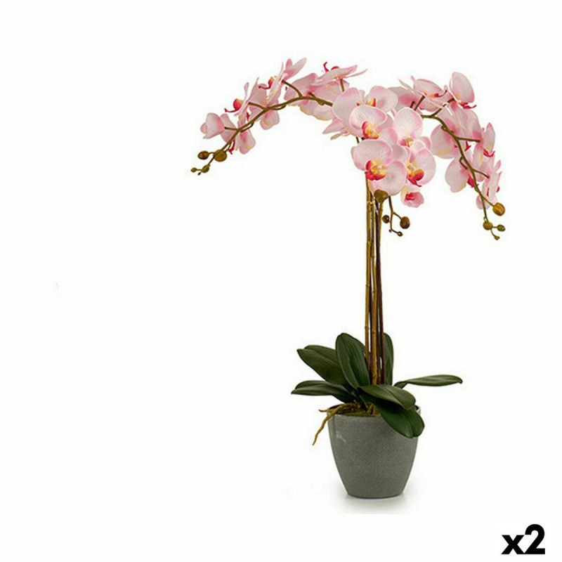 Plante décorative Ibergarden A18124-71-3 Plastique Orchidée 29 x 78 x 35 cm 60 x 78 x 44 cm (2 Unités)