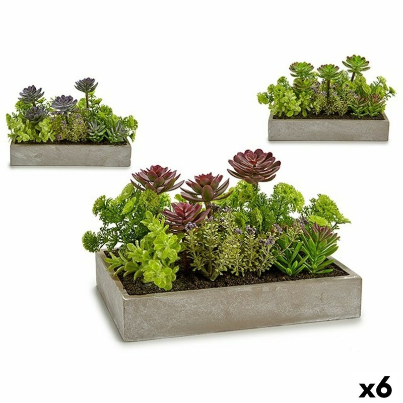 Plante décorative Ibergarden XD18-1220 Plastique Ciment Succulent 16