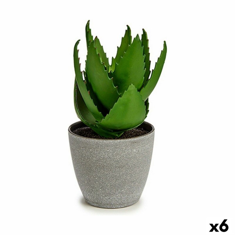 Plante décorative Ibergarden YC184573 Plastique Aloe Vera 15 x 23