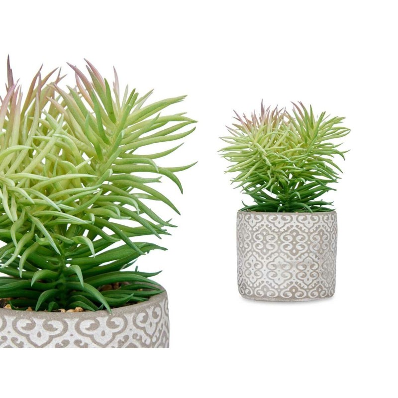 Plante décorative Ibergarden QY-H011 Bois Plastique Ciment Succulent 12 x 22 x 12 cm (8 Unités)