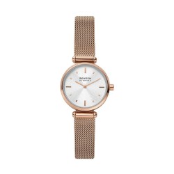 Montre Femme Skagen AMBERLINE (Ø 28 mm)