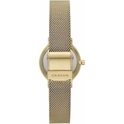 Montre Femme Skagen SKW3084