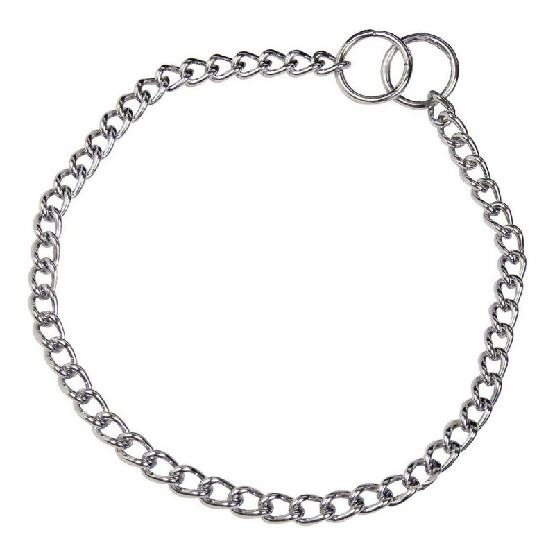 Collier pour Chien Hs Sprenger Argenté 2