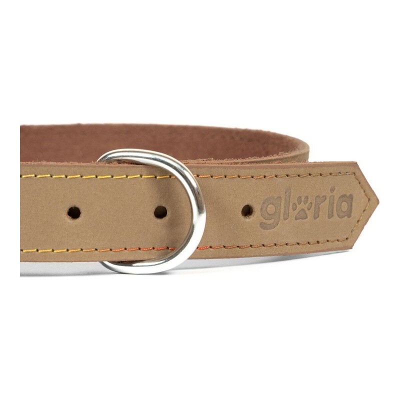 Collier pour Chien Gloria Oasis Beige (1,2 x 35 cm)