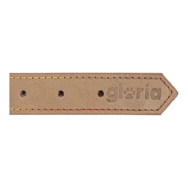 Collier pour Chien Gloria Oasis Beige (1,2 x 35 cm)