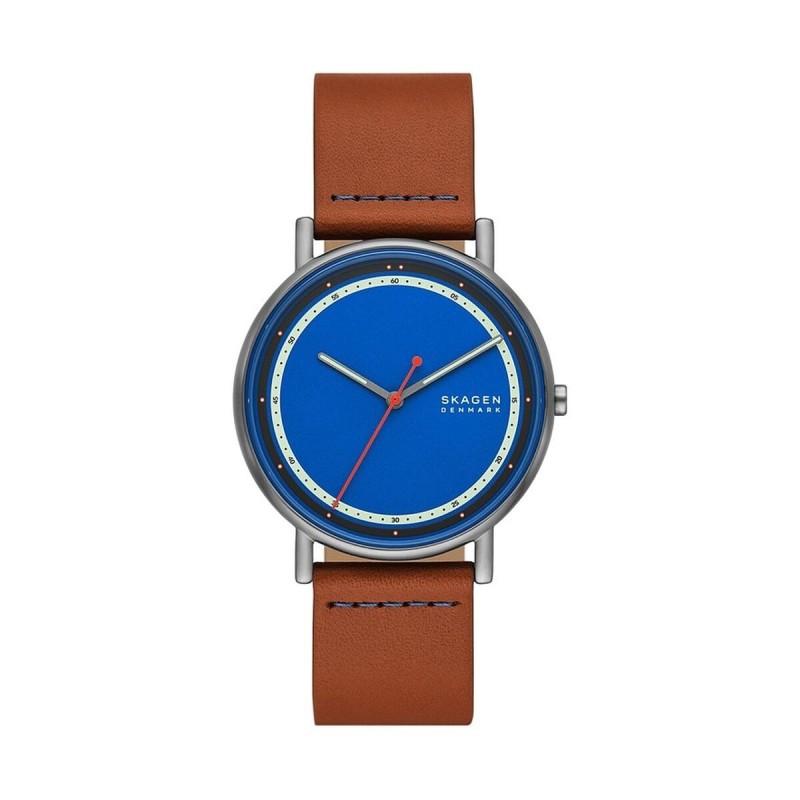 Montre Homme Skagen SIGNATUR (Ø 40 mm)