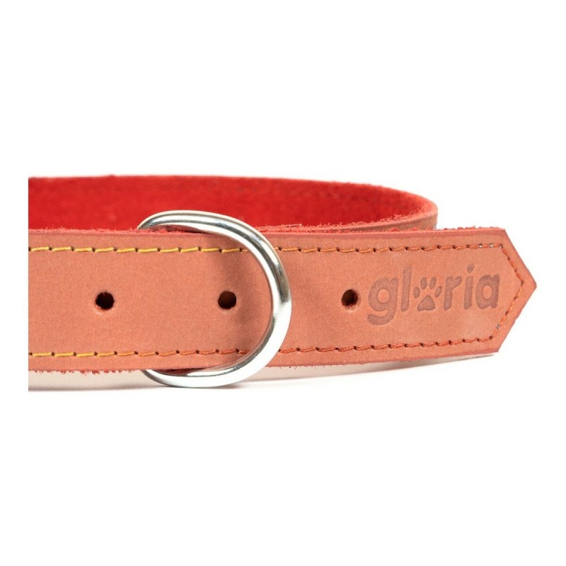 Collier pour Chien Gloria Oasis Rouge (1,5 x 40 cm)