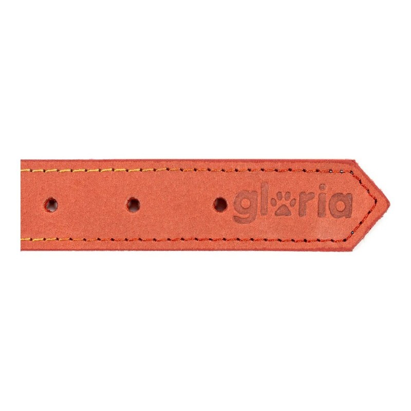 Collier pour Chien Gloria Oasis Rouge (1,5 x 40 cm)