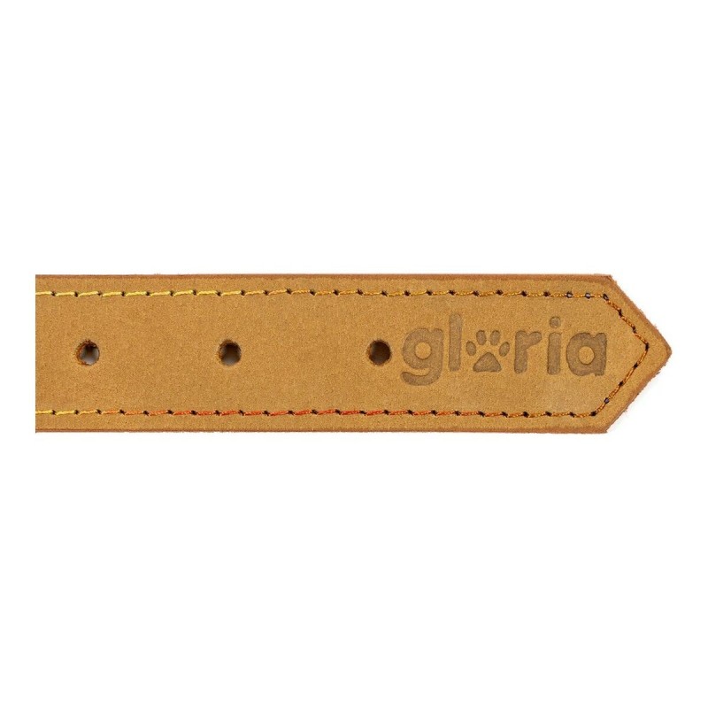 Collier pour Chien Gloria Oasis Jaune (45 x 1,8 cm)