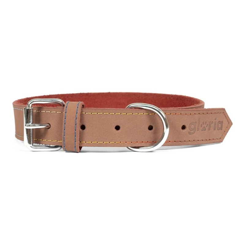 Collier pour Chien Gloria Oasis Marron (50 x 2