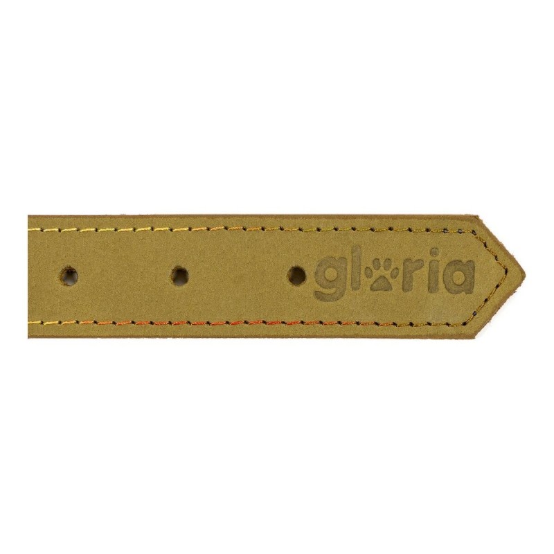 Collier pour Chien Gloria Oasis Vert (50 x 2,1 cm)