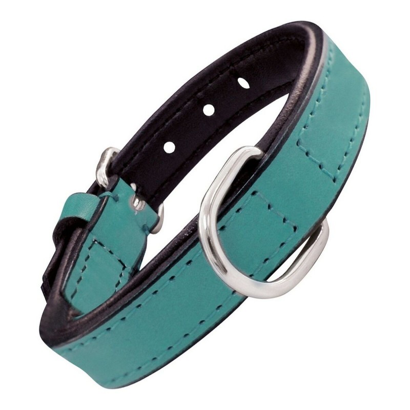 Collier pour Chien Gloria Rembourré Turquoise (30 x 1