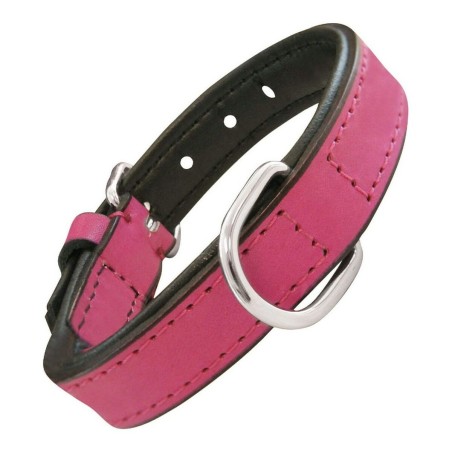 Collier pour Chien Gloria Rembourré Fuchsia (35 x 1