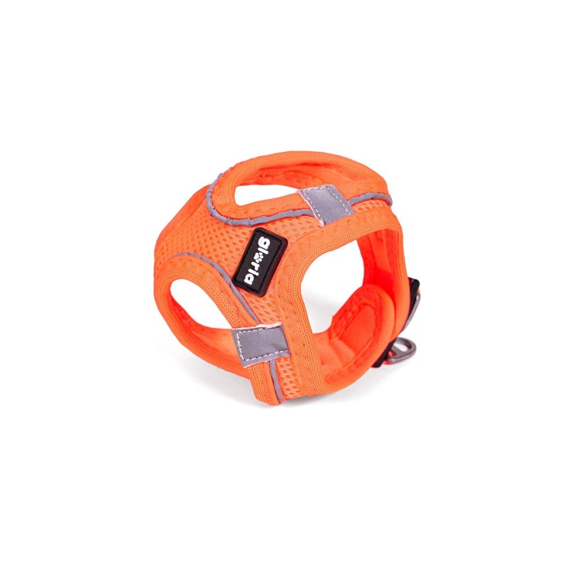 Harnais pour Chien Gloria Trek Star 29