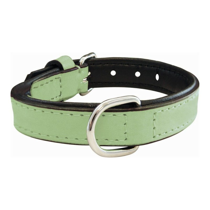 Collier pour Chien Gloria Rembourré Vert (35 x 1