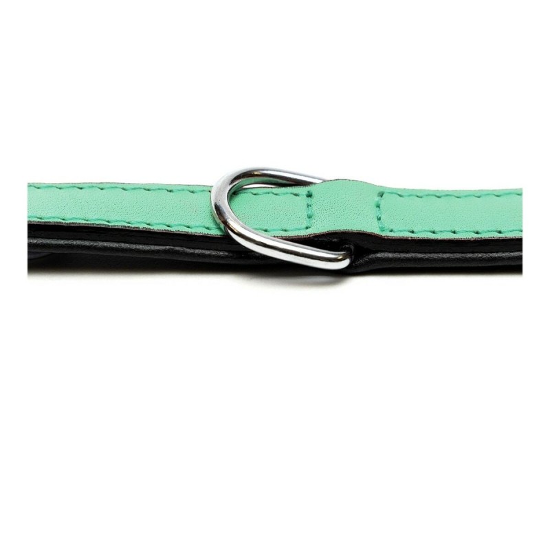 Collier pour Chien Gloria Rembourré Vert (30 x 1,5 cm)