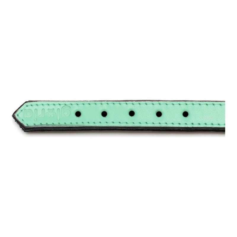 Collier pour Chien Gloria Rembourré Vert (30 x 1,5 cm)