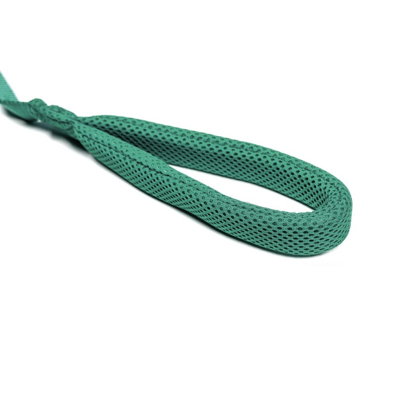 Laisse pour Chien Gloria Turquoise S