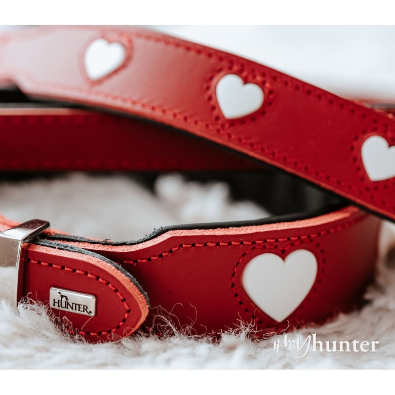 Collier pour Chien Hunter Love S/M 35-43 cm Rouge